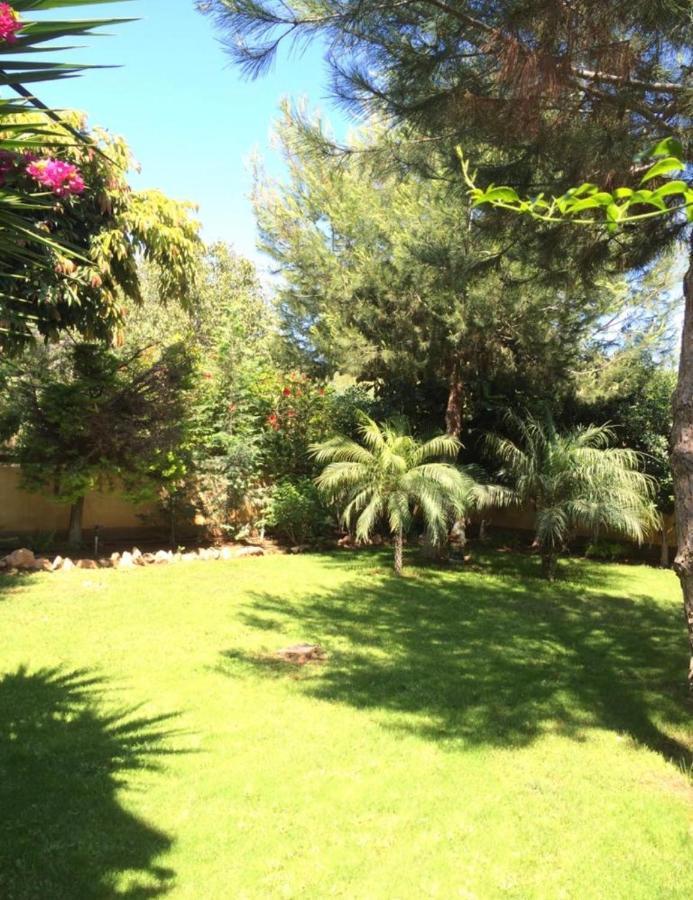 Villa Natalia Ayia Napa Ngoại thất bức ảnh