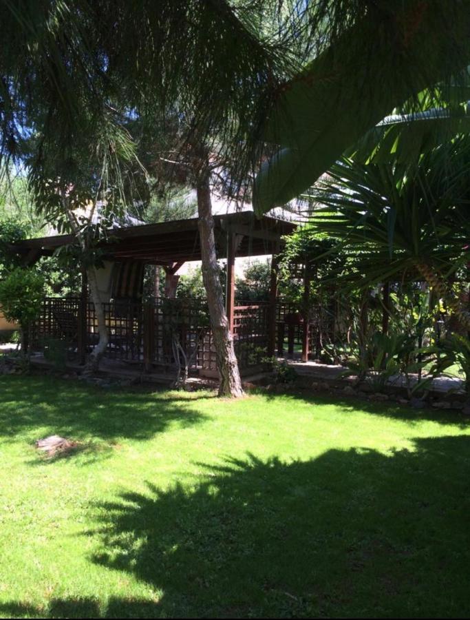Villa Natalia Ayia Napa Ngoại thất bức ảnh