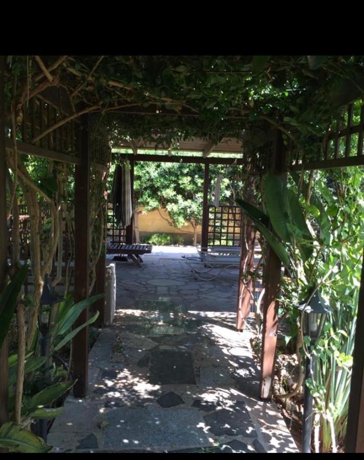 Villa Natalia Ayia Napa Ngoại thất bức ảnh