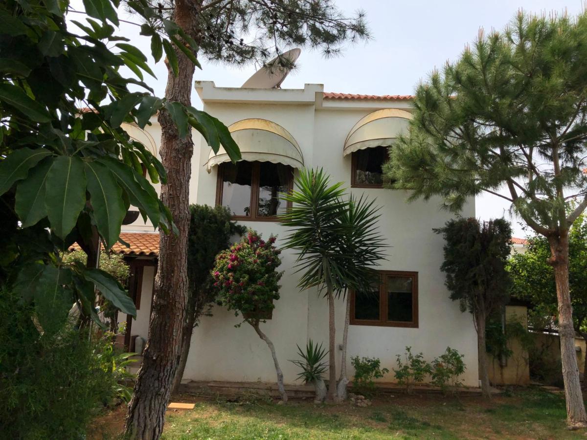 Villa Natalia Ayia Napa Ngoại thất bức ảnh